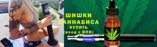 трава Снежногорск