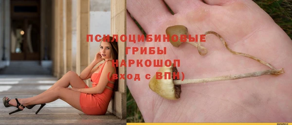 прущие грибы Слюдянка
