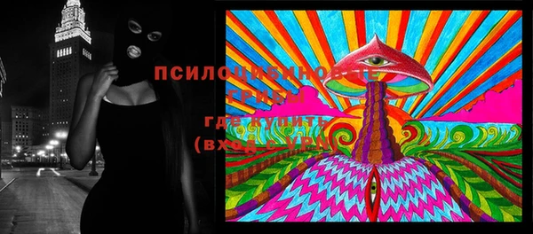 герыч Алексин