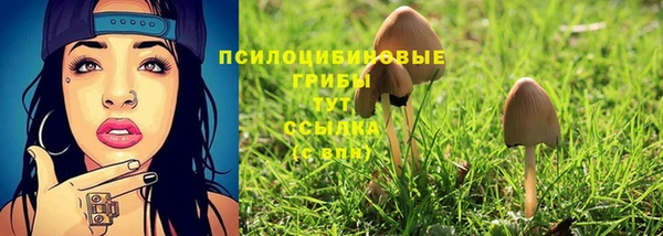 метадон Алзамай