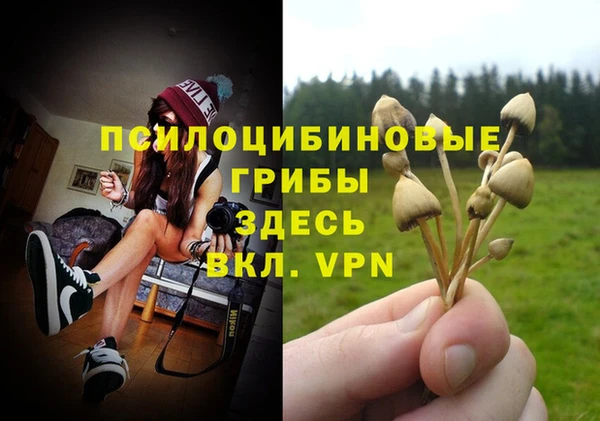 метадон Алзамай
