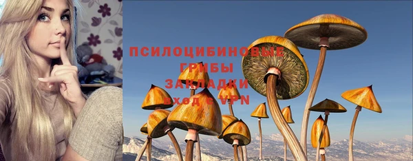 герыч Алексин