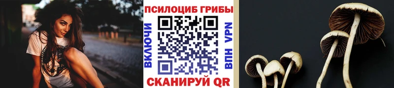 где купить наркоту  Алупка  Псилоцибиновые грибы GOLDEN TEACHER 