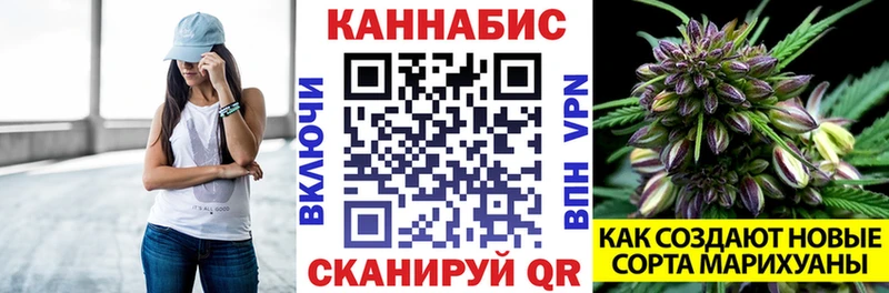 Каннабис гибрид  Алупка 